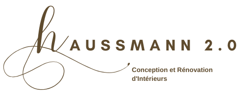 HAUSSMANN 2.0